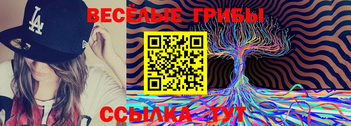 Псилоцибиновые грибы мухоморы Мирный