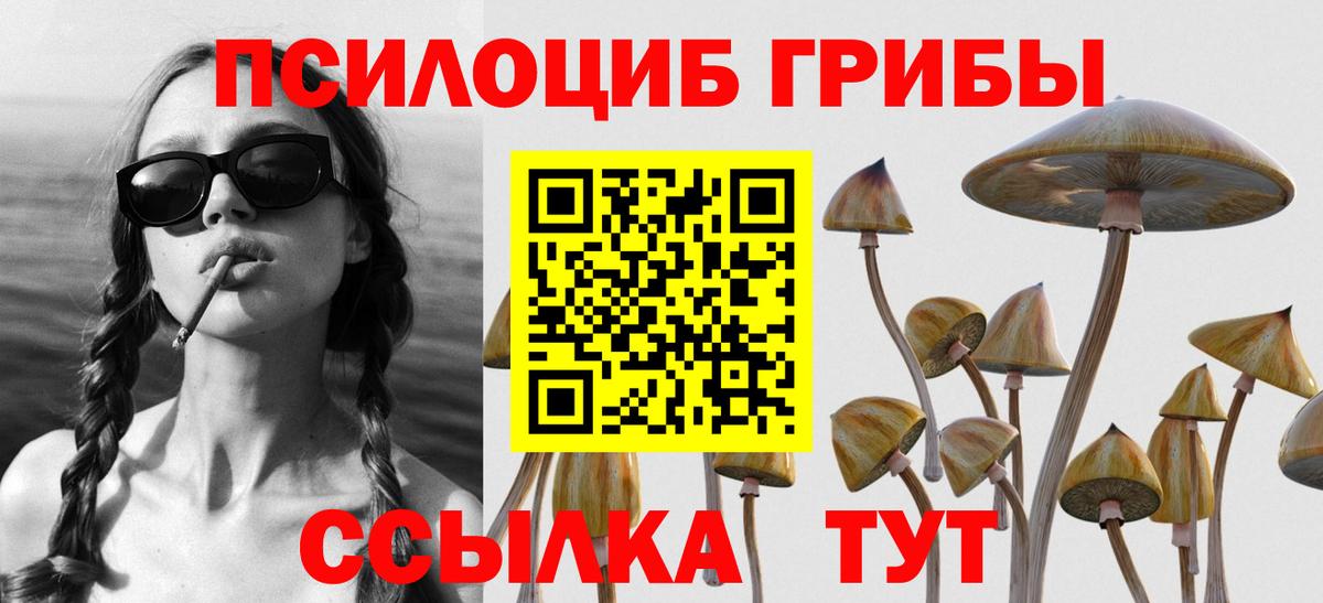 Псилоцибиновые грибы прущие грибы  Псилоцибиновые грибы ЛСД  Мирный  Вход с VPN 